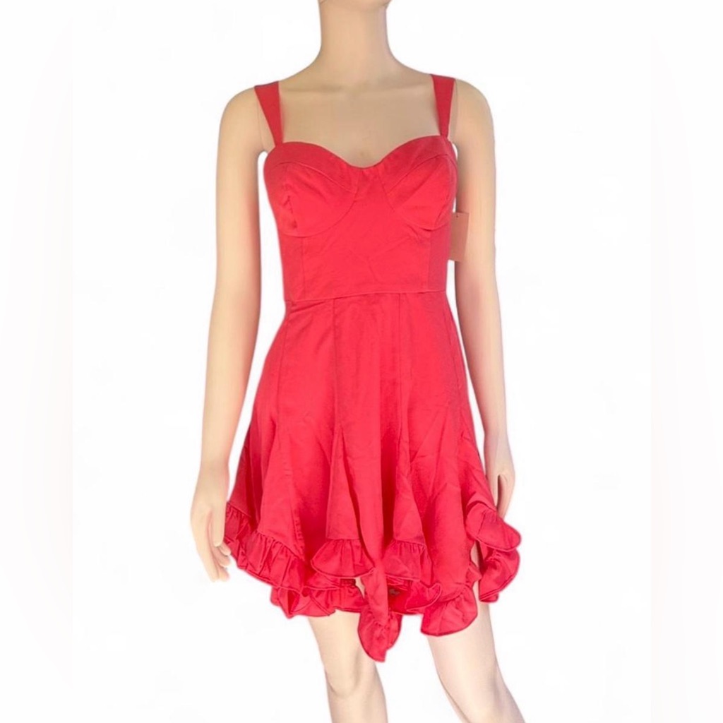 Nwt Hutch Hot Pink Bustier Fit & Flare Mini Dress | Size 4 | Nordstrom